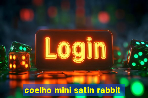 coelho mini satin rabbit